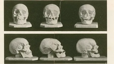 creepy-classical-skull-casts